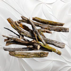 10 Pcs 5 Inch Sagebrush Armatures Tree Railroad Scales Deciduous Model Diorama
